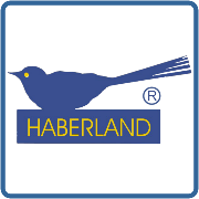 Christbaumschmuck - Glas aus Lauscha - alles für das Weihnachtsfest